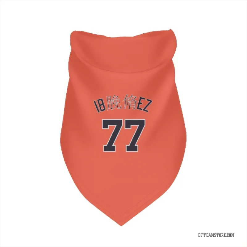 Andy Ibanez Orange Detroit Tigers Cat & Dog Pet Bandana