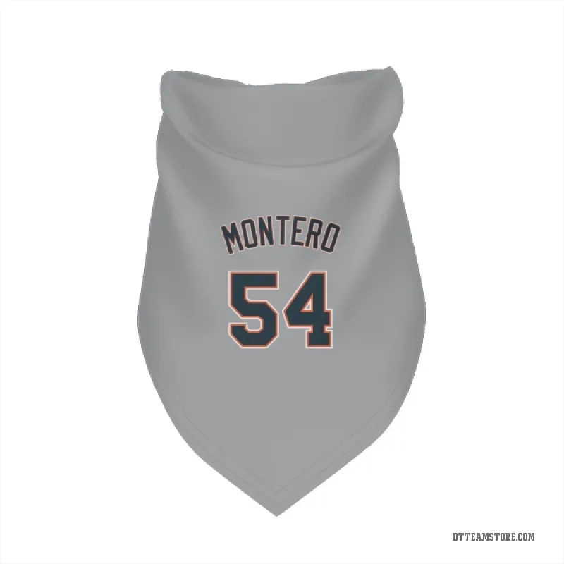 Keider Montero Gray Detroit Tigers Cat & Dog Pet Bandana